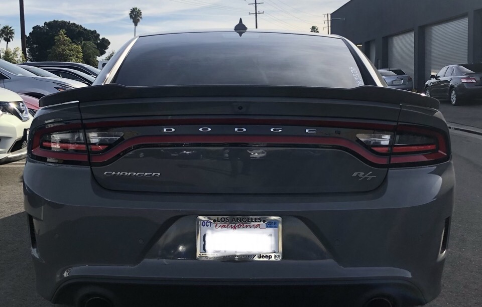 2019 Dodge Charger - photo 2