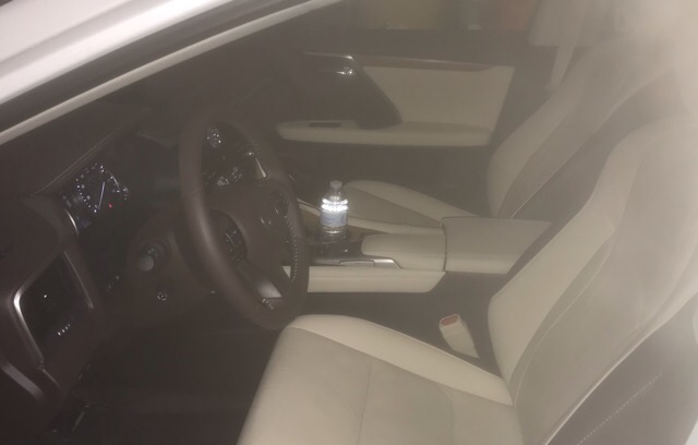 2017 Lexus RX 350 - photo 6