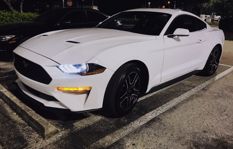 2019 Ford Mustang - photo 0