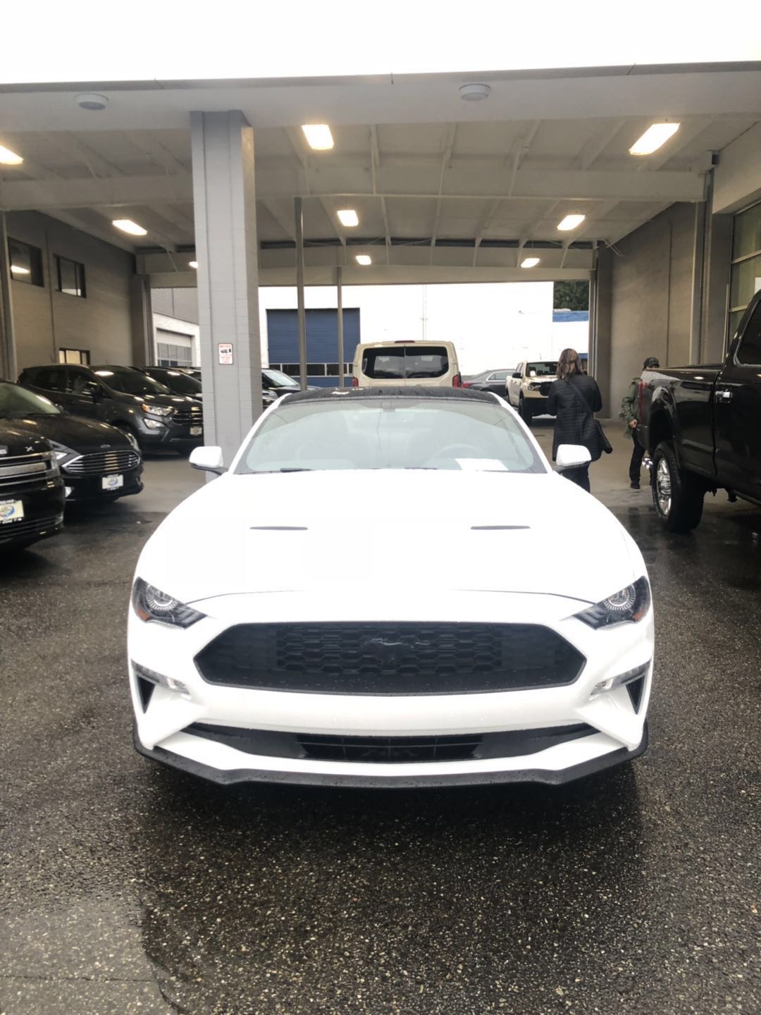 2019 Ford Mustang - photo 1
