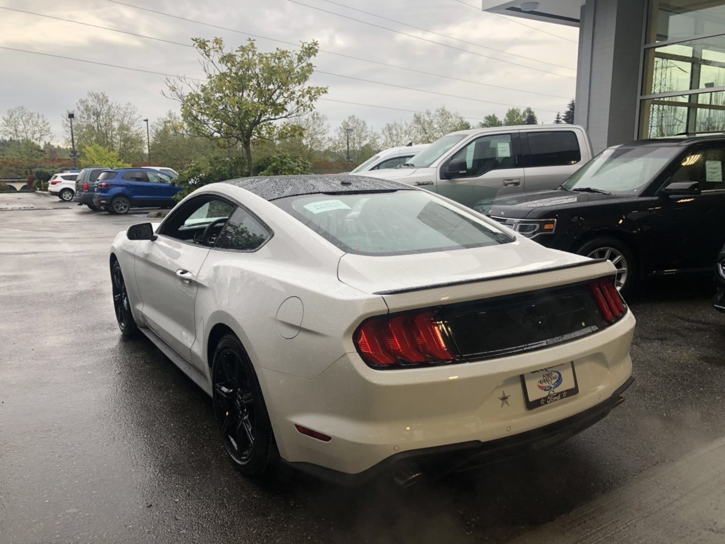 2019 Ford Mustang - photo 3