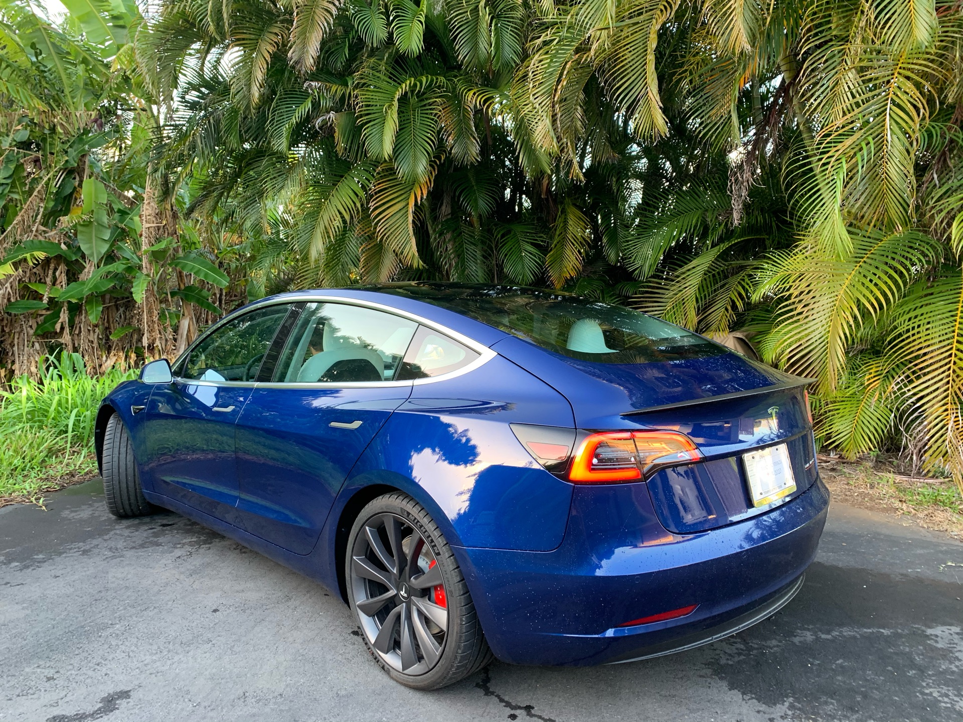 2020 Tesla Model 3 - photo 0