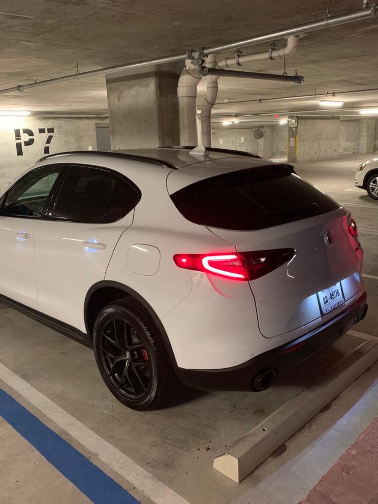 2019 Alfa Romeo Stelvio - photo 1