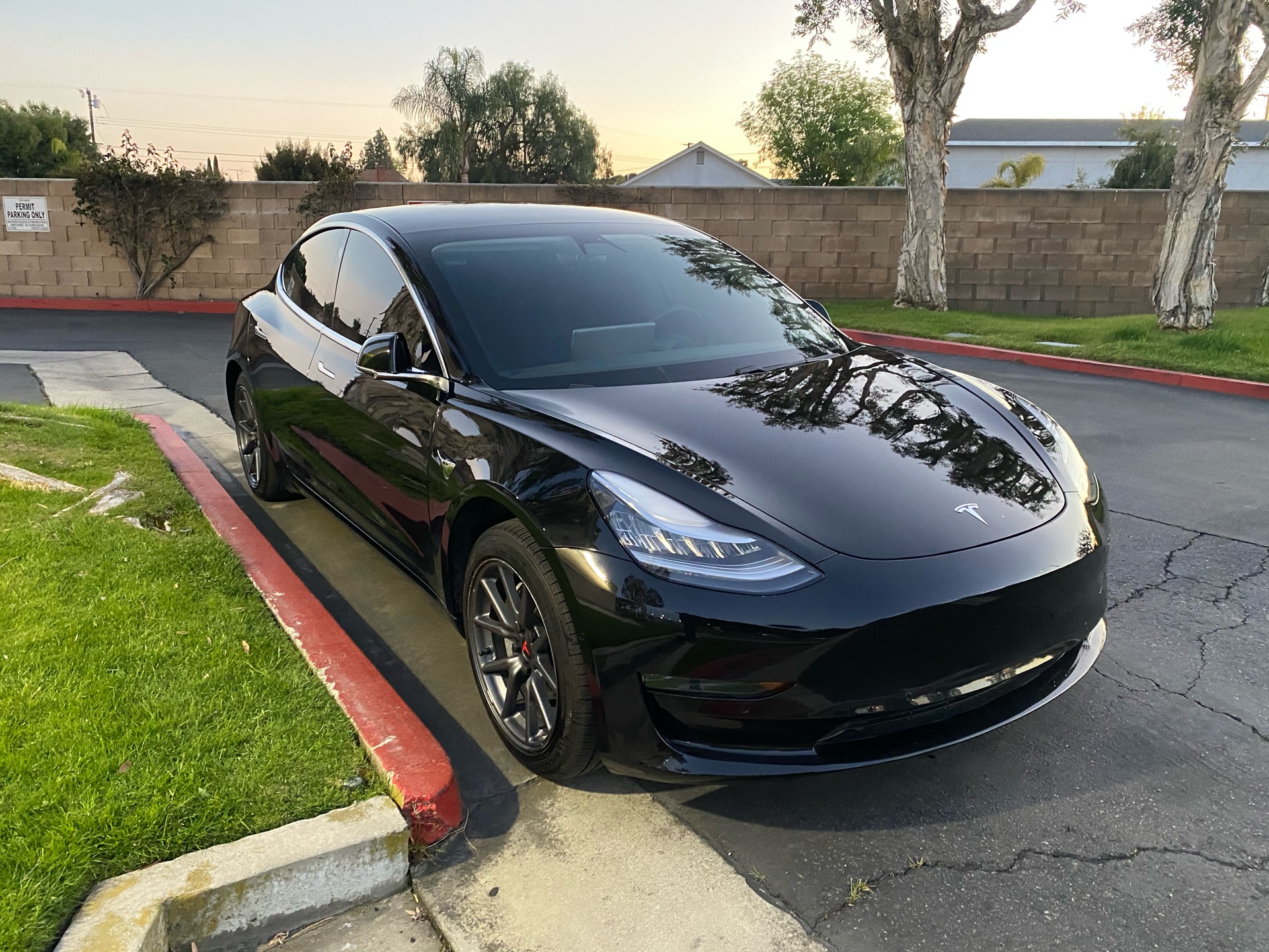 2019 Tesla Model 3 - photo 2