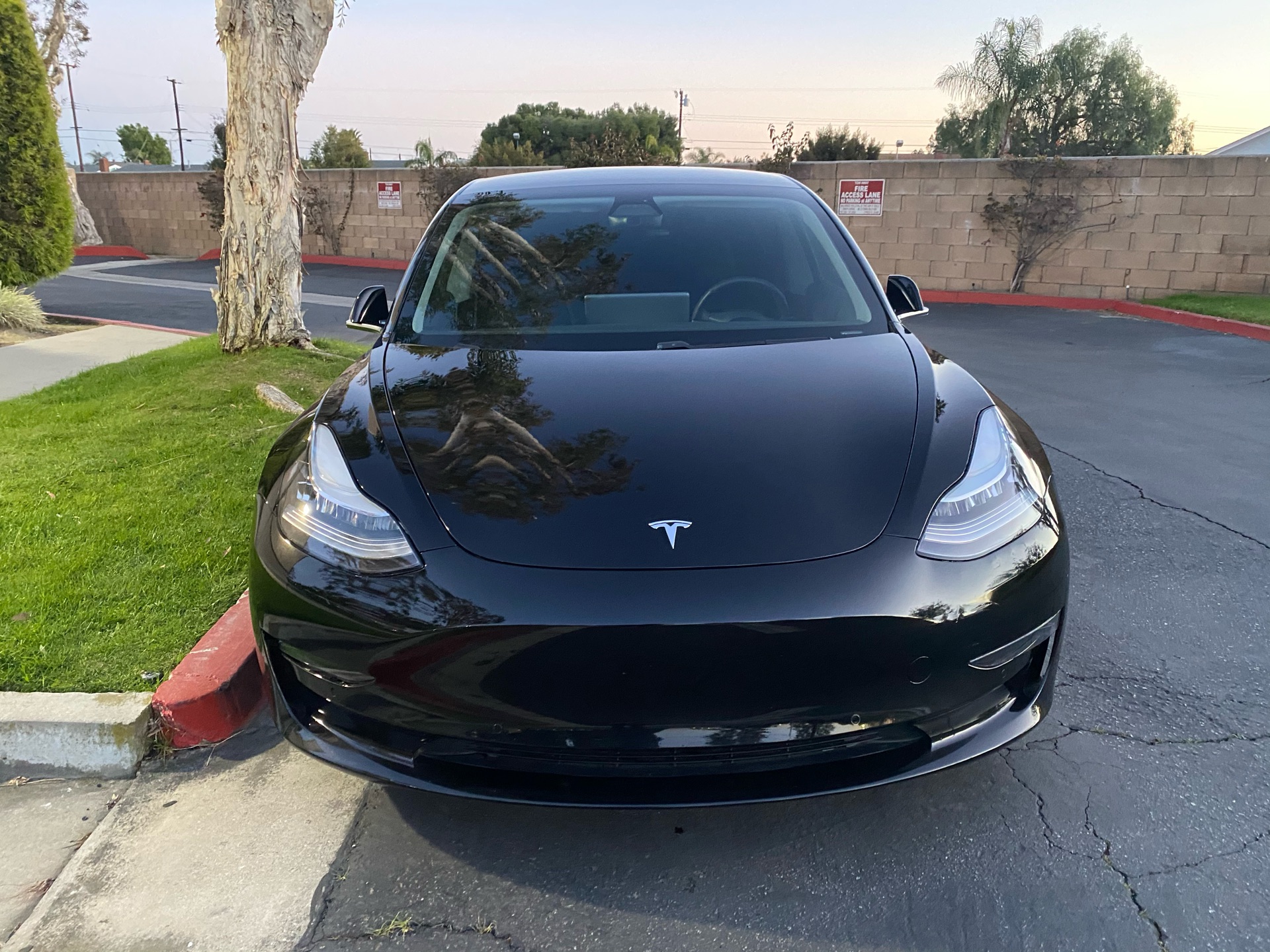 2019 Tesla Model 3 - photo 0
