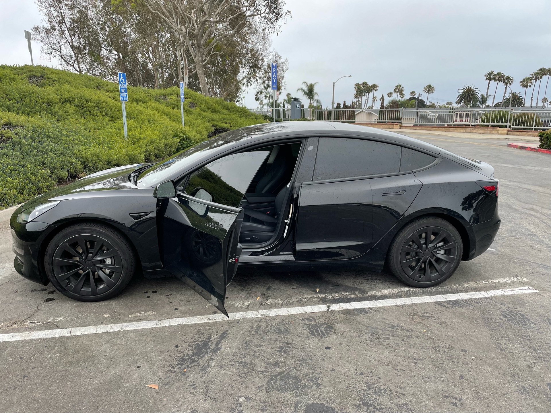 2021 Tesla Model 3 - photo 1
