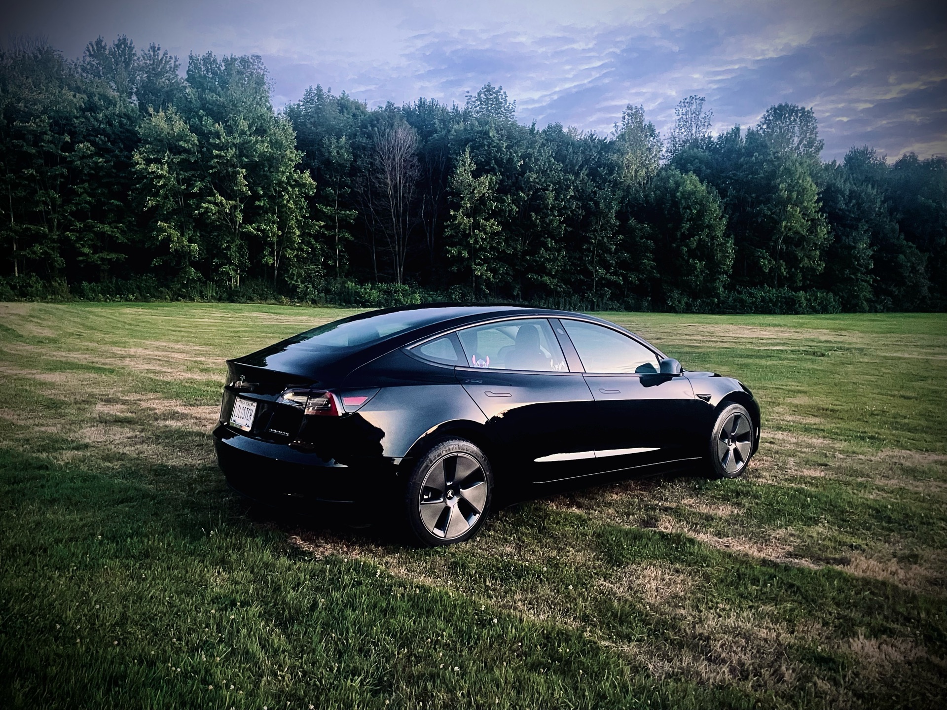 2022 Tesla Model 3 - photo 4