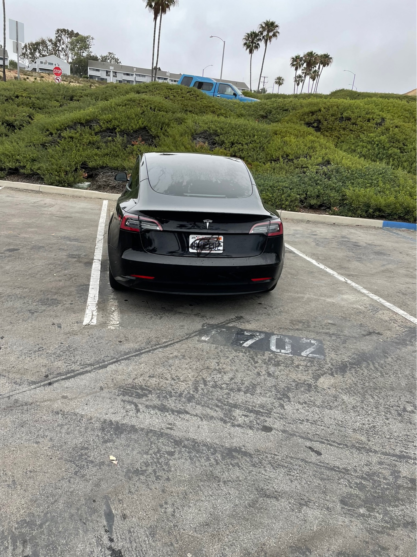 2021 Tesla Model 3 - photo 2