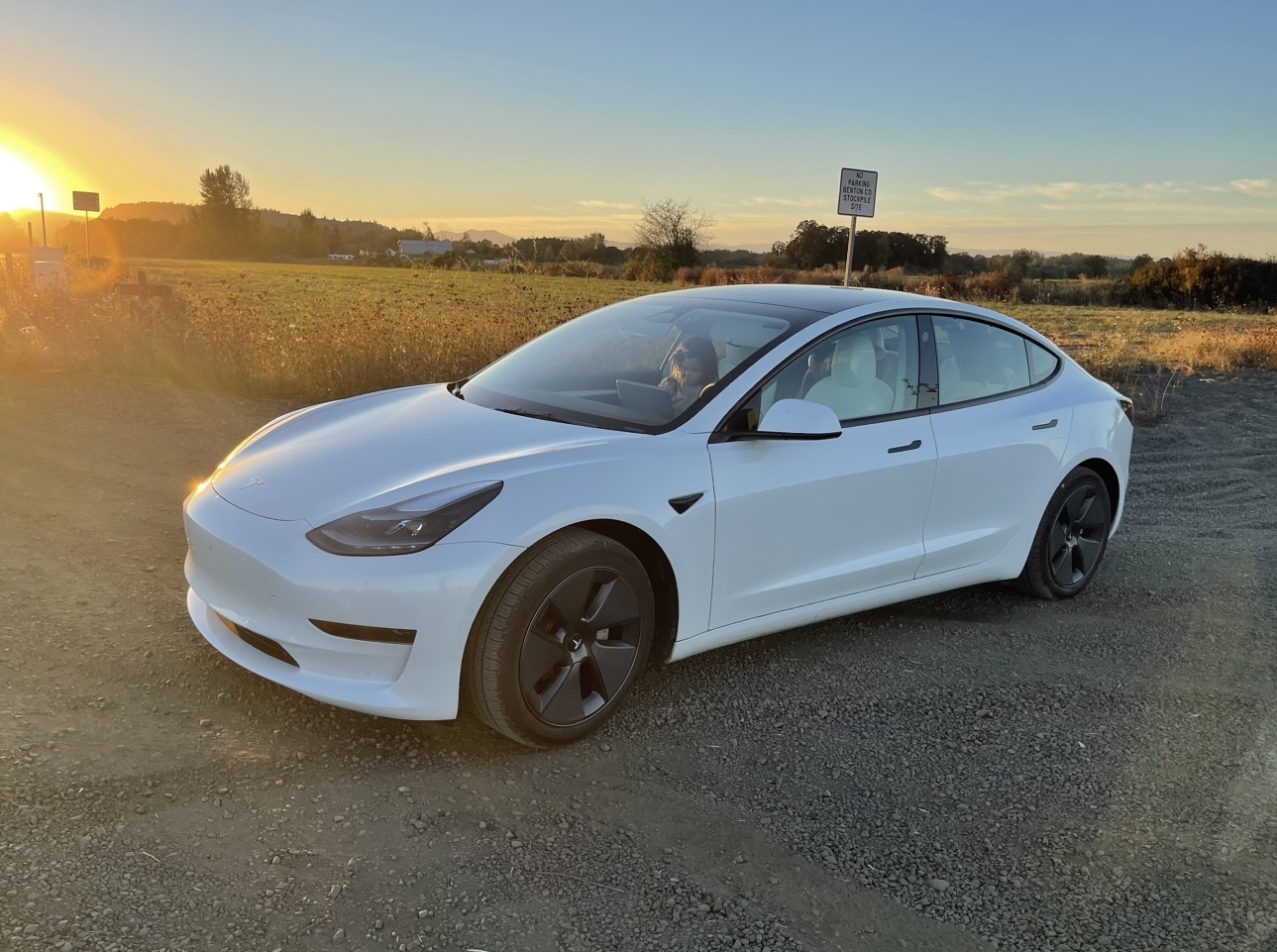 2022 Tesla Model 3 - photo 1