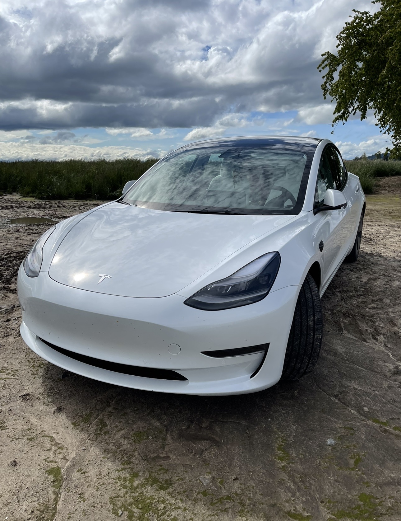 2022 Tesla Model 3 - photo 7