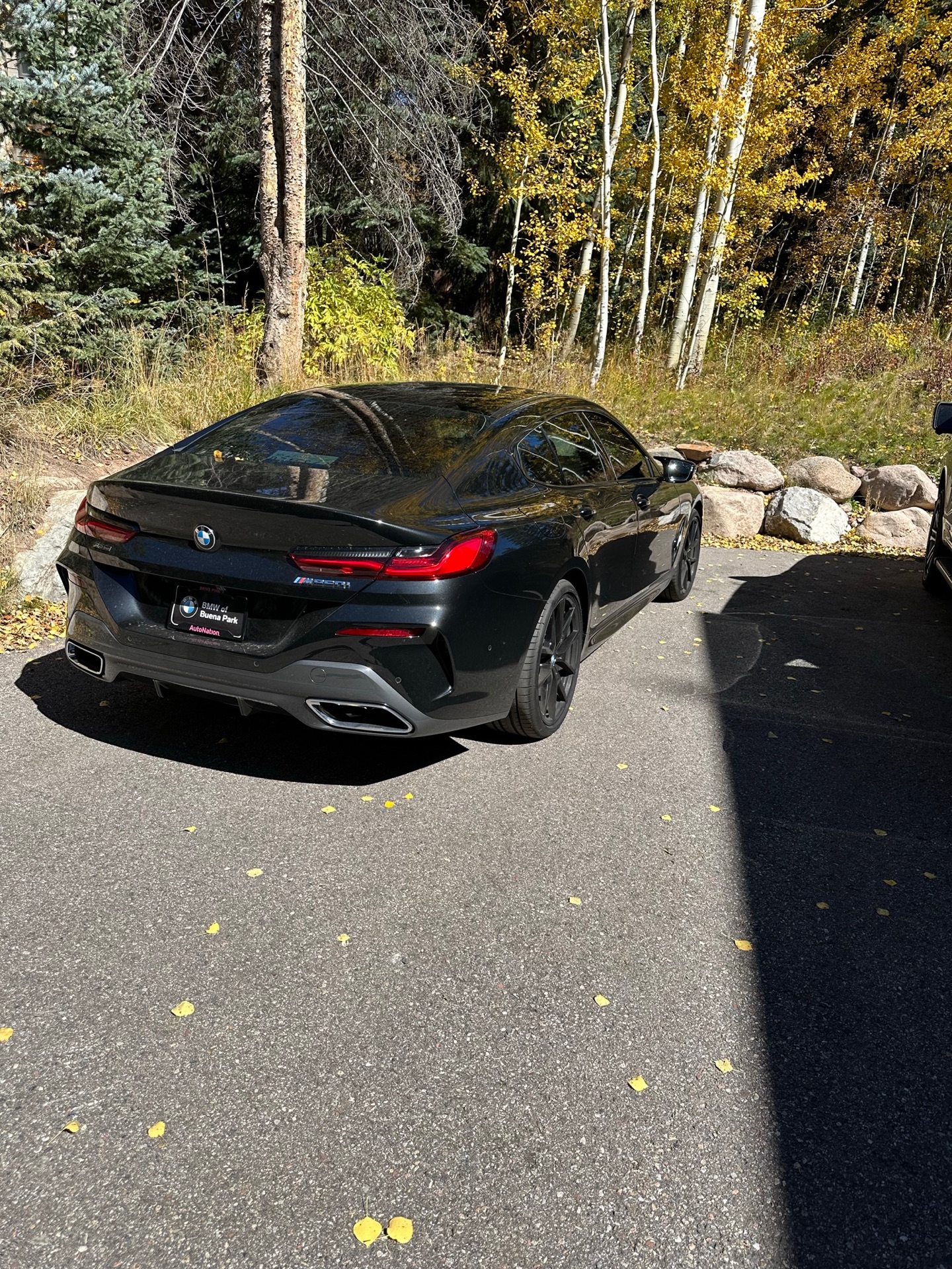 2024 BMW 8 Series - photo 1