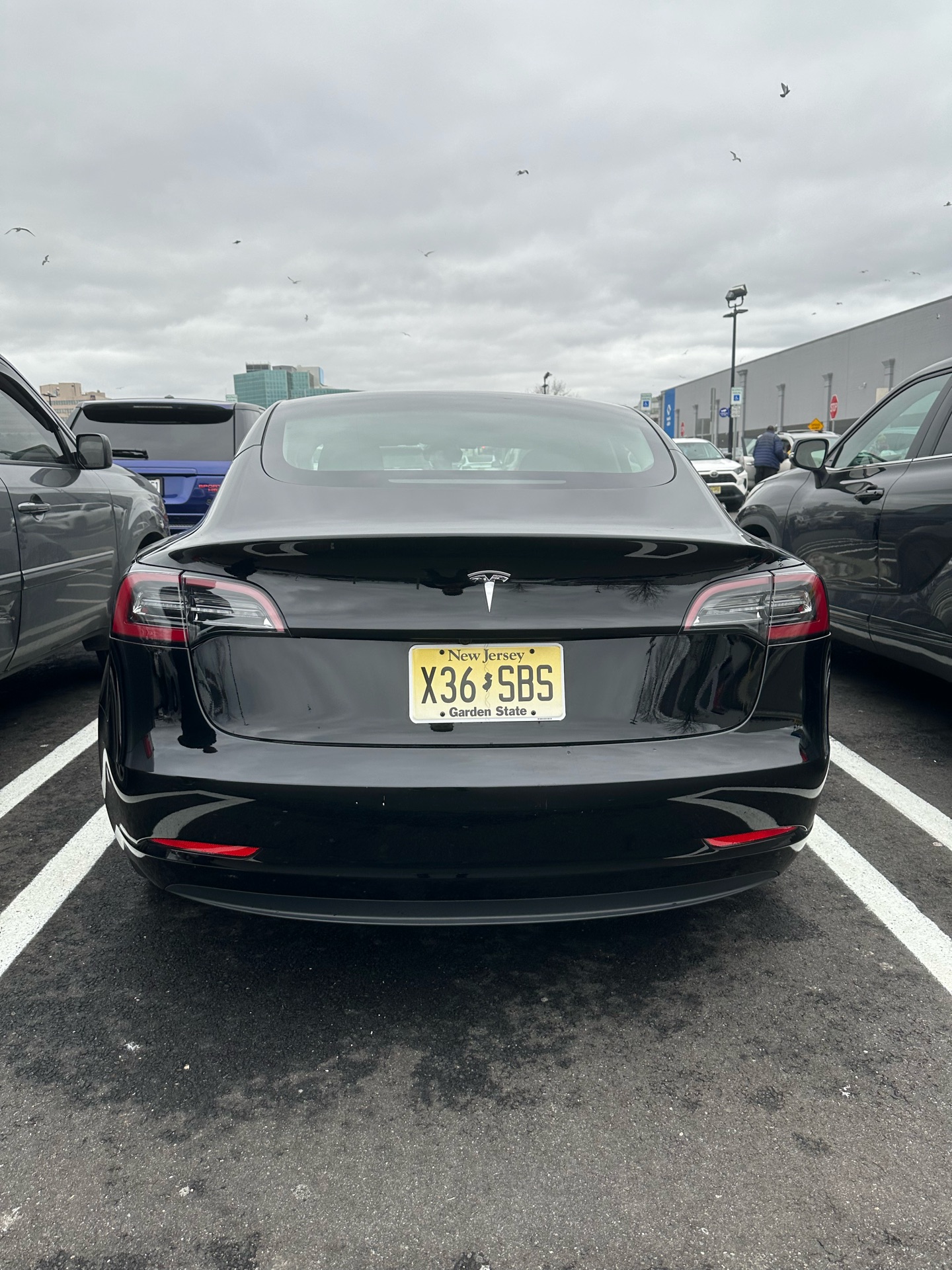 2023 Tesla Model 3 - photo 6