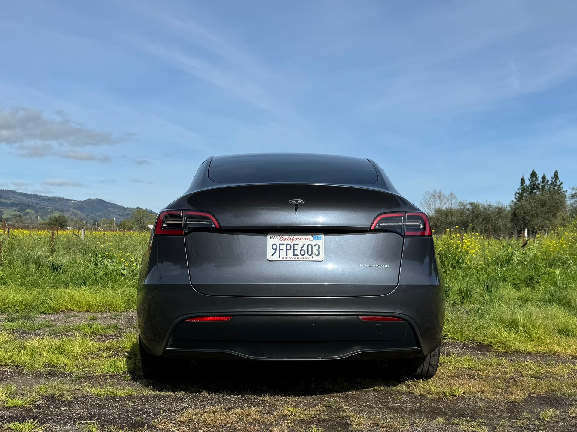 2023 Tesla Model Y - photo 4
