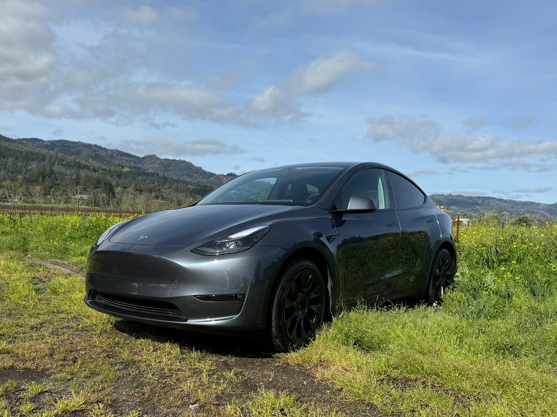 2023 Tesla Model Y - photo 0