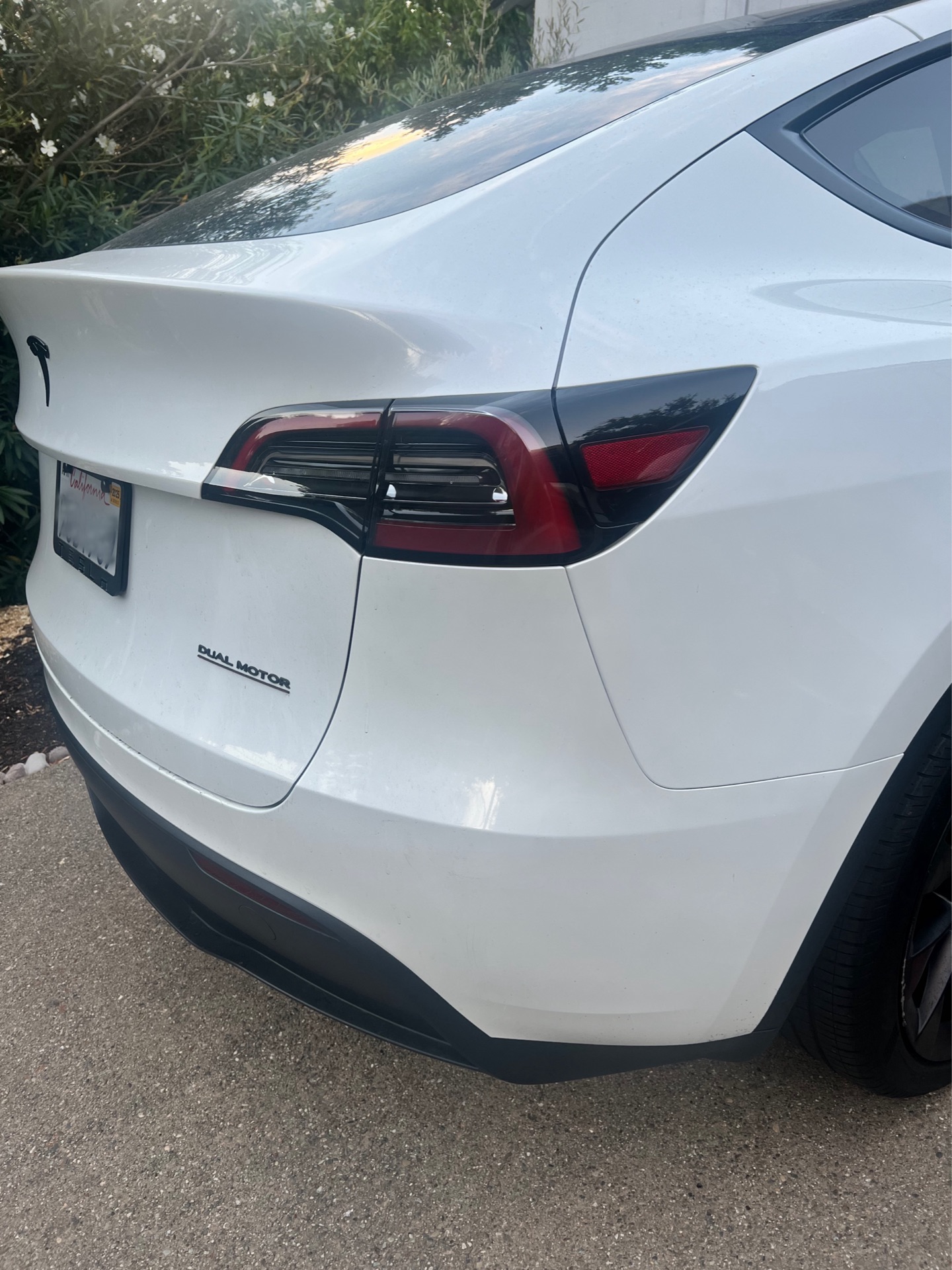 2023 Tesla Model Y - photo 1