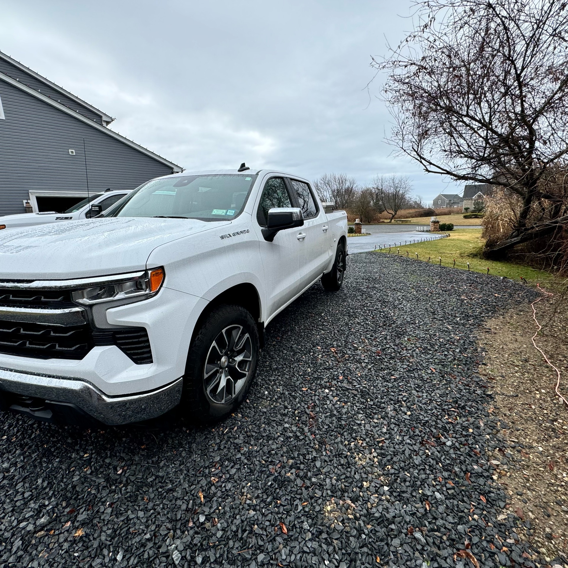 2024 Chevrolet Silverado 1500 - photo 2